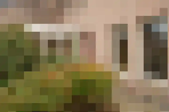 De Kampen 14 Westerbork thumbnail 49