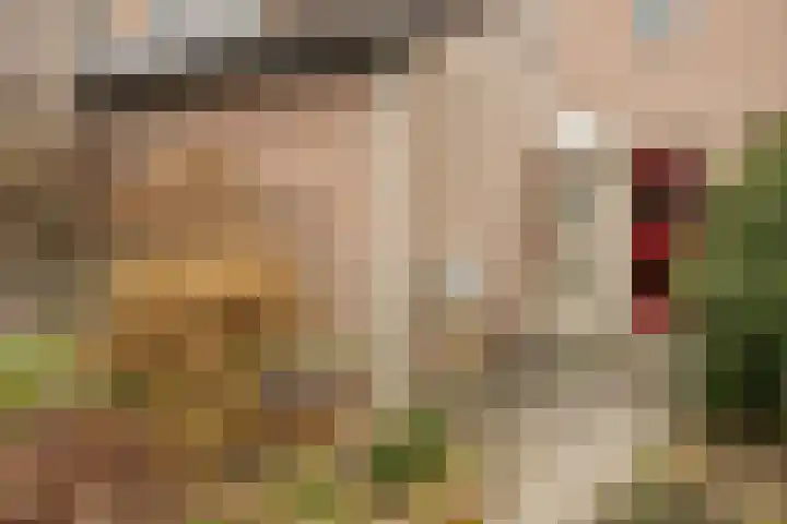 De Kampen 14 Westerbork thumbnail 50
