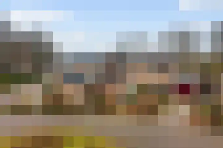 De Kampen 14 Westerbork thumbnail 53