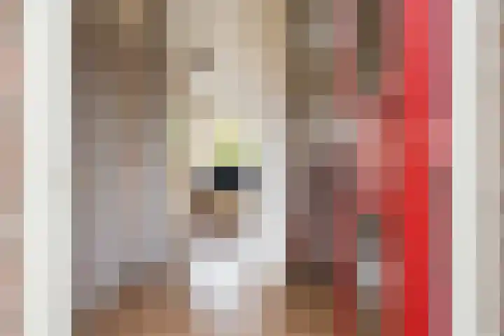 De Kampen 14 Westerbork thumbnail 6
