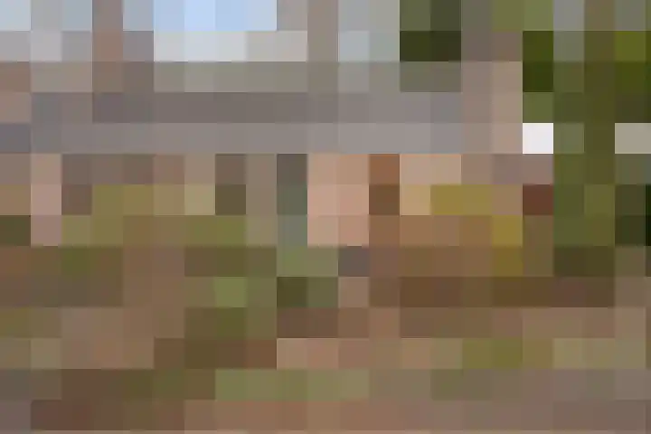 De Kampen 28 Westerbork thumbnail 32