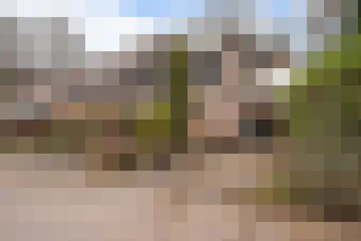 De Kampen 28 Westerbork thumbnail 33