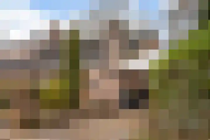 De Kampen 28 Westerbork thumbnail 34