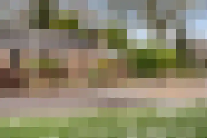 De Kampen 28 Westerbork thumbnail 35