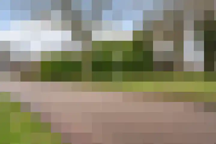De Kampen 28 Westerbork thumbnail 39