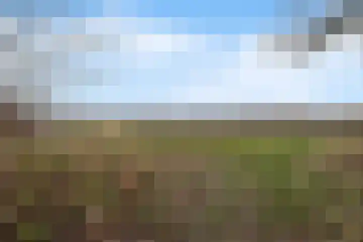 De Kampen 28 Westerbork thumbnail 40