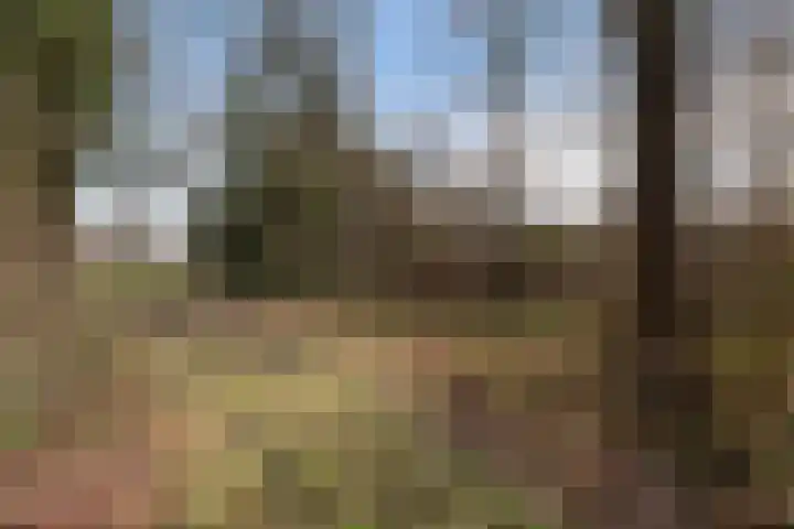 De Kampen 28 Westerbork thumbnail 41
