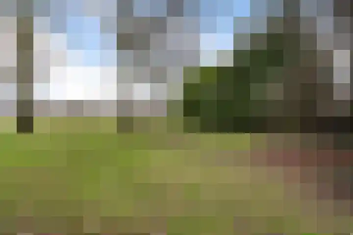De Kampen 28 Westerbork thumbnail 42