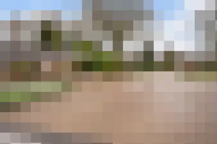 De Kampen 28 Westerbork thumbnail 46