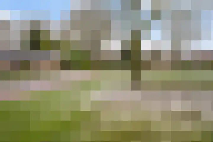 De Kampen 28 Westerbork thumbnail 47