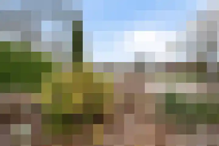 De Kampen 28 Westerbork thumbnail 48
