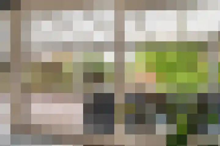 De Kampen 28 Westerbork thumbnail 6