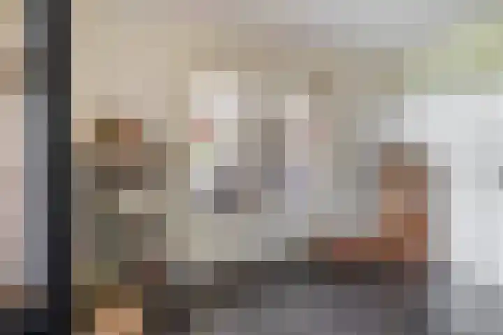 De Kampen 32 Dwingeloo thumbnail 12