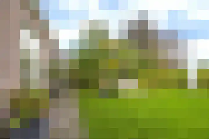 De Kampen 32 Dwingeloo thumbnail 25