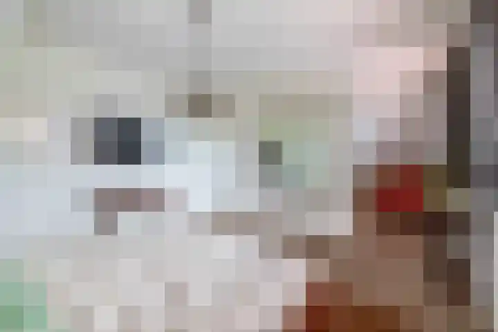 De Kampen 32 Dwingeloo thumbnail 30