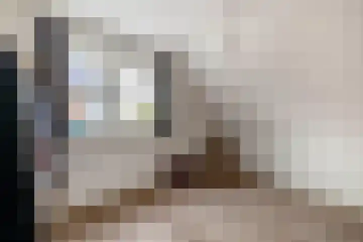 De Kampen 32 Dwingeloo thumbnail 36