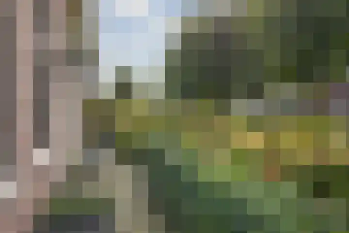De Kampen 32 Dwingeloo thumbnail 42