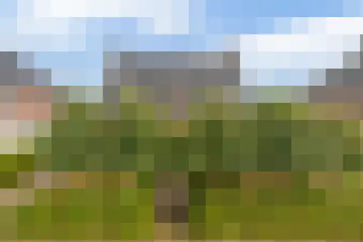 De Kampen 32 Dwingeloo thumbnail 43