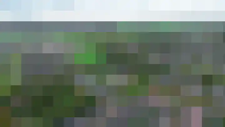 De Kampen 32 Dwingeloo thumbnail 50