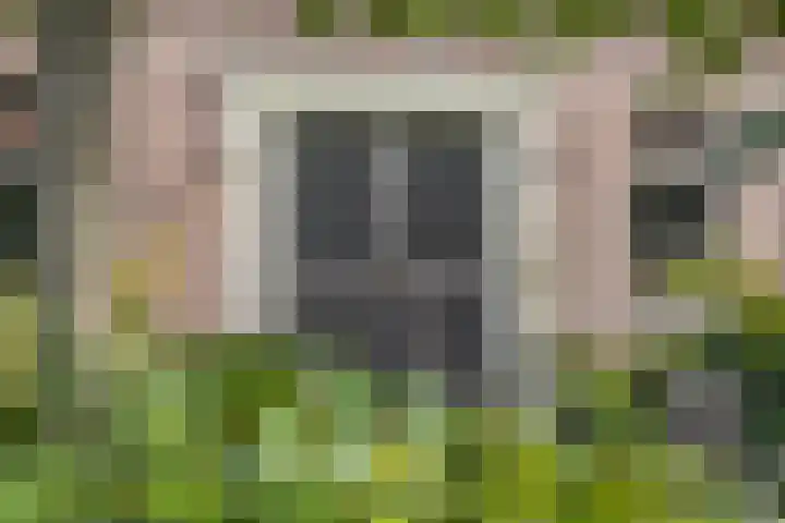 De Kampen 32 Dwingeloo thumbnail 6