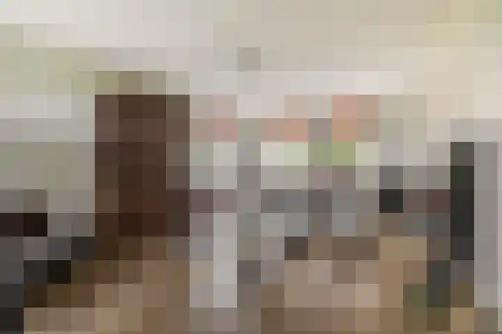 De Kampen 32 Dwingeloo thumbnail 9