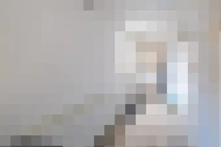 De Kampen 32 Ingwierrum thumbnail 24