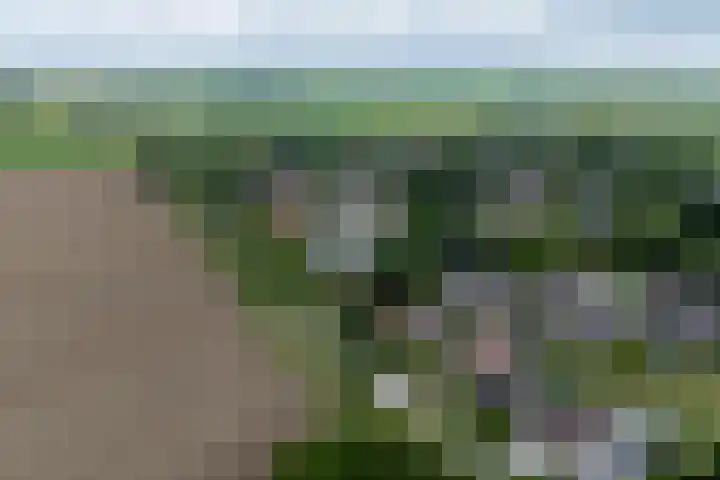 De Kampen 32 Ingwierrum thumbnail 4