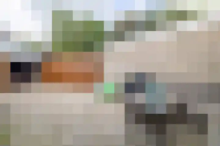 De Kampen 32 Ingwierrum thumbnail 41