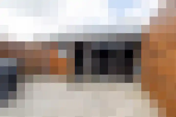 De Kampen 32 Ingwierrum thumbnail 42