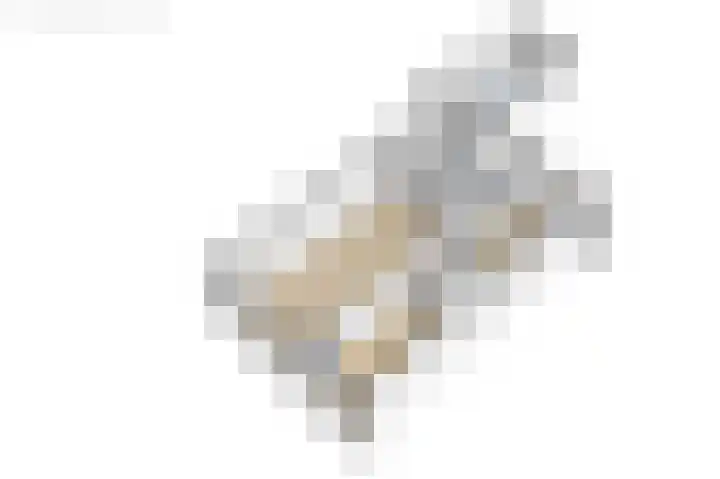 De Kampen 32 Ingwierrum thumbnail 51