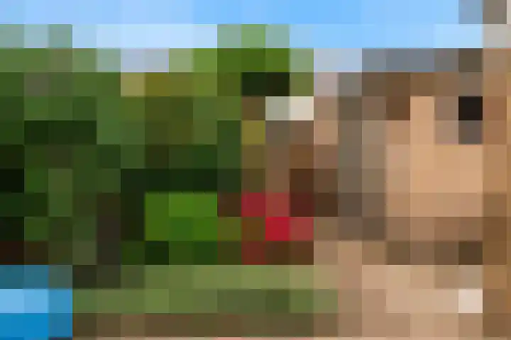de Kapberg 17 Kamerik thumbnail 30