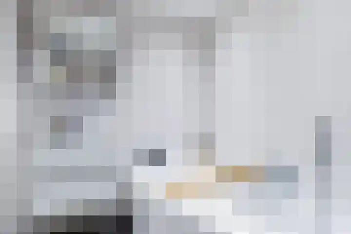 De Karre 8 Brummen thumbnail 32