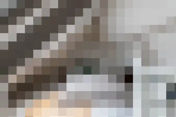 De Karre 8 Brummen thumbnail 34