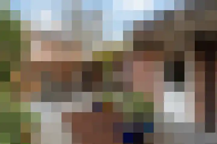 De Karre 8 Brummen thumbnail 36