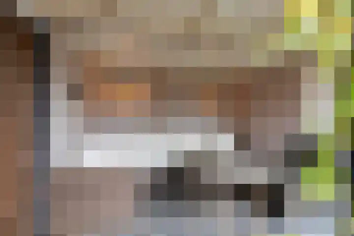 De Karre 8 Brummen thumbnail 37