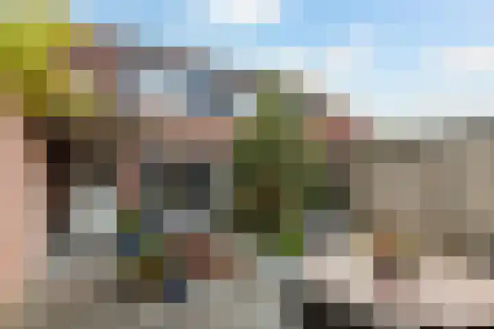 De Karre 8 Brummen thumbnail 38