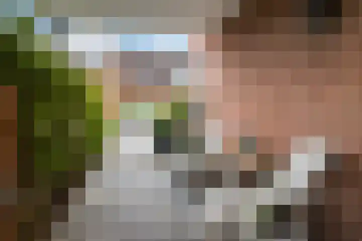 De Karre 8 Brummen thumbnail 8
