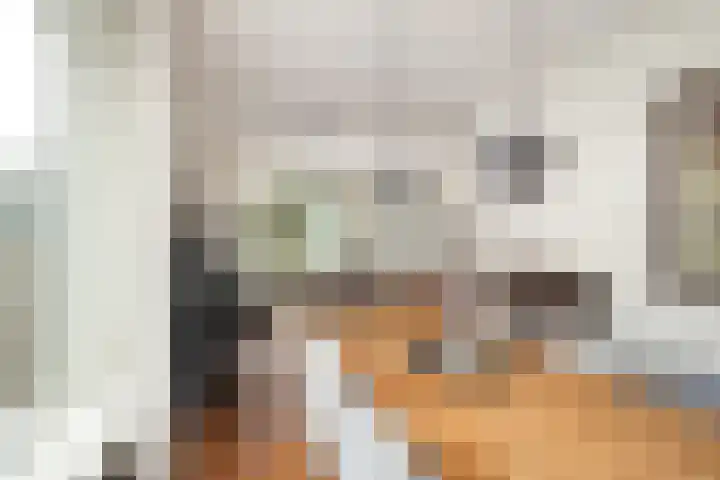 De Kastanje 5 Rhoon thumbnail 11