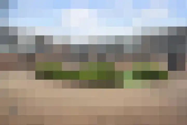 De Kastanje 5 Rhoon thumbnail 4