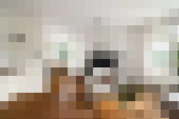 De Kastanje 5 Rhoon thumbnail 7