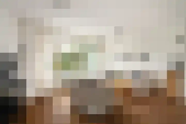 De Kastanje 5 Rhoon thumbnail 8
