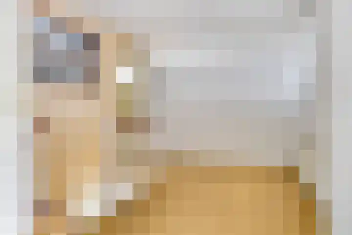 De Kat 28 Westhem thumbnail 17