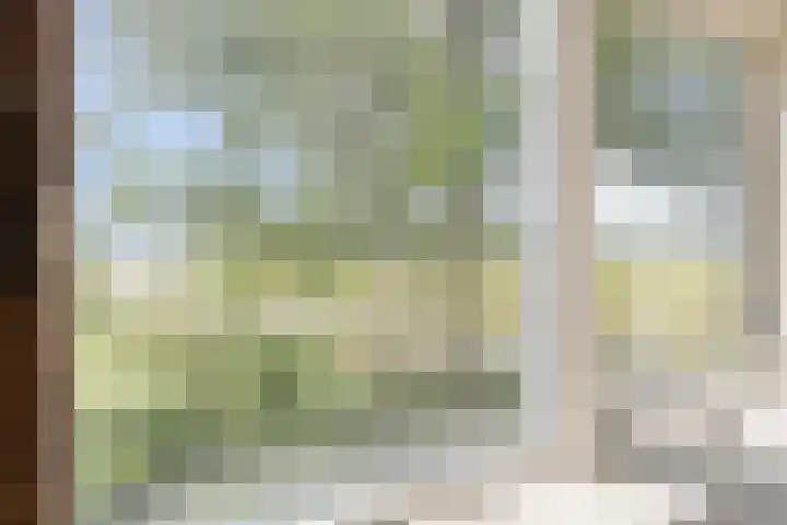 De Kat 28 Westhem thumbnail 22