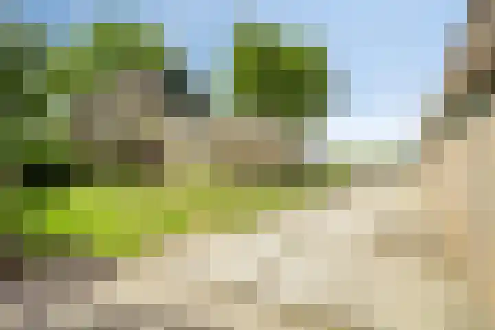De Kat 28 Westhem thumbnail 29