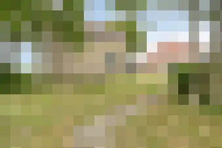 De Kat 28 Westhem thumbnail 32