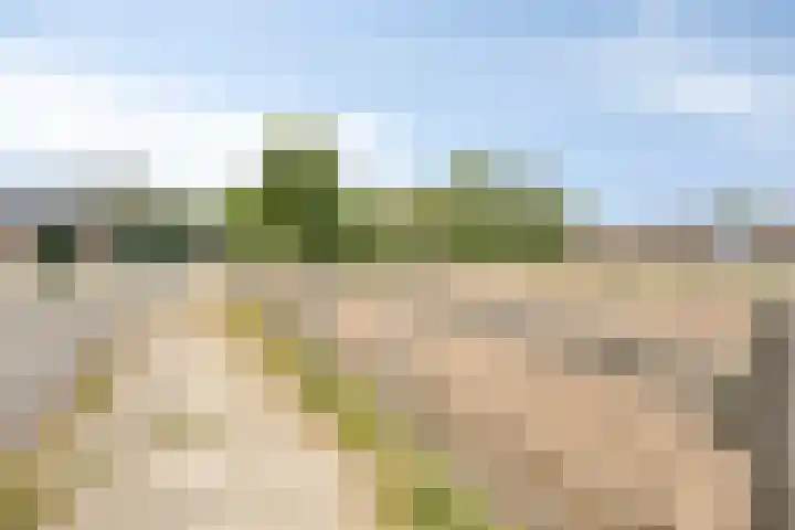 De Kat 28 Westhem thumbnail 33