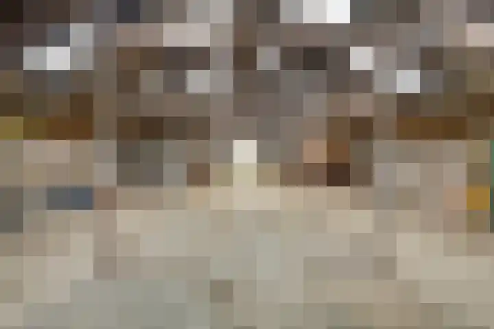 De Kat 28 Westhem thumbnail 36