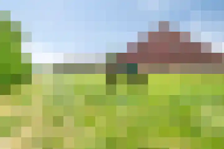 De Kat 28 Westhem thumbnail 37