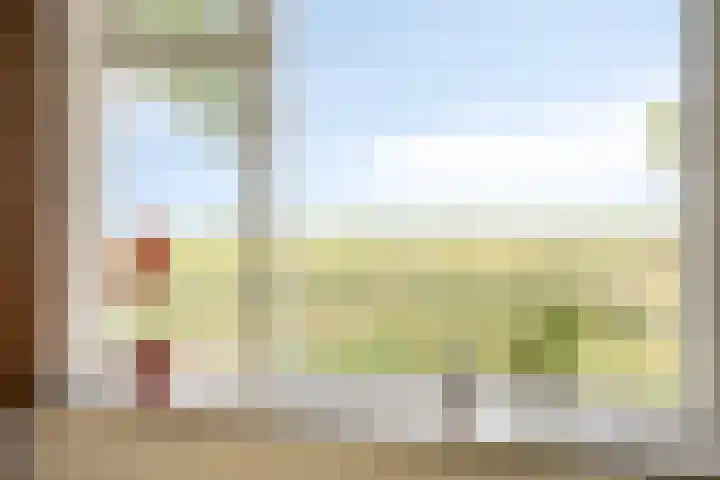 De Kat 28 Westhem thumbnail 4