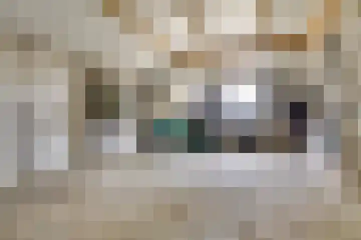 De Kat 28 Westhem thumbnail 44